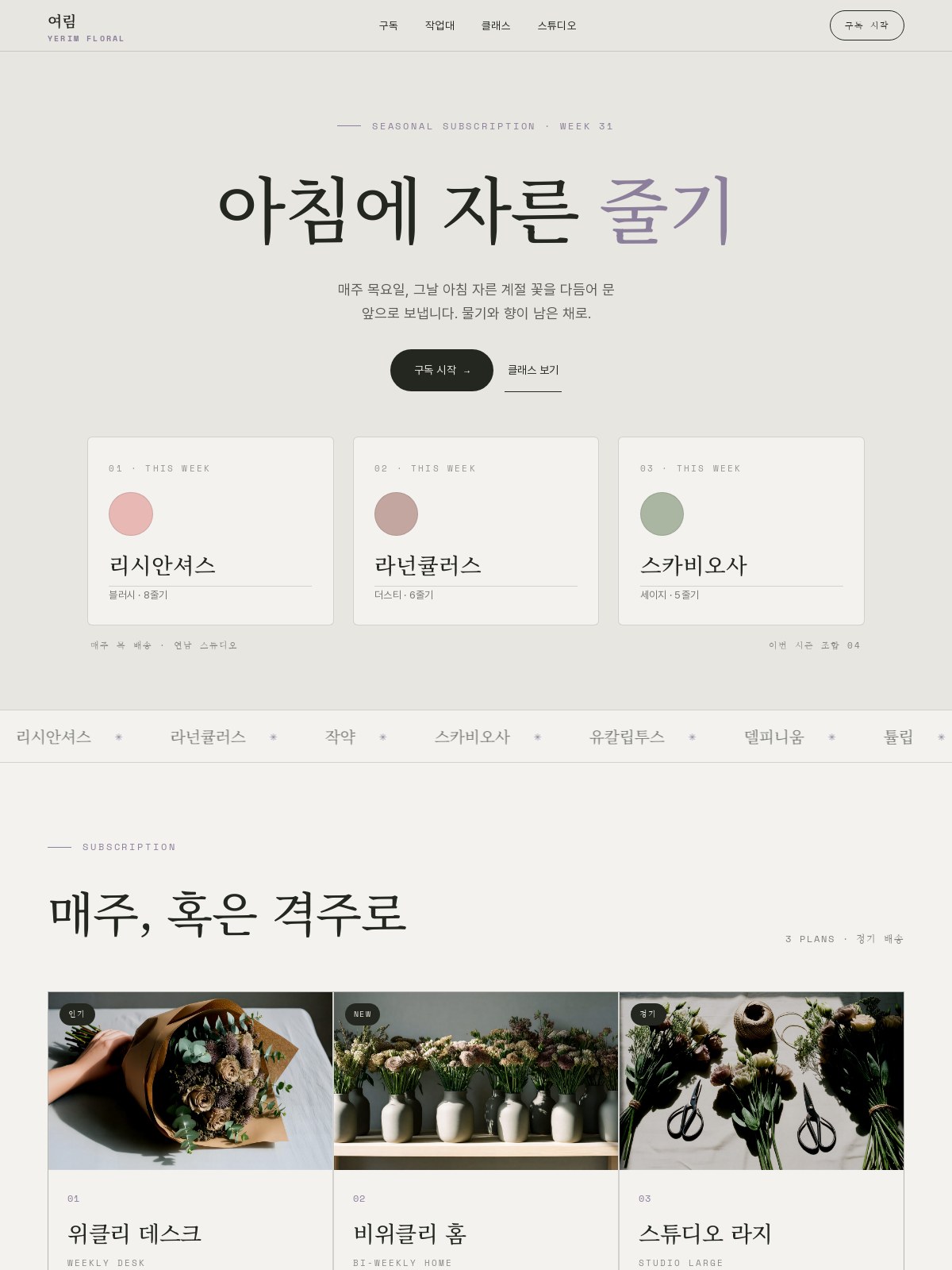 여림 YERIM homepage visual