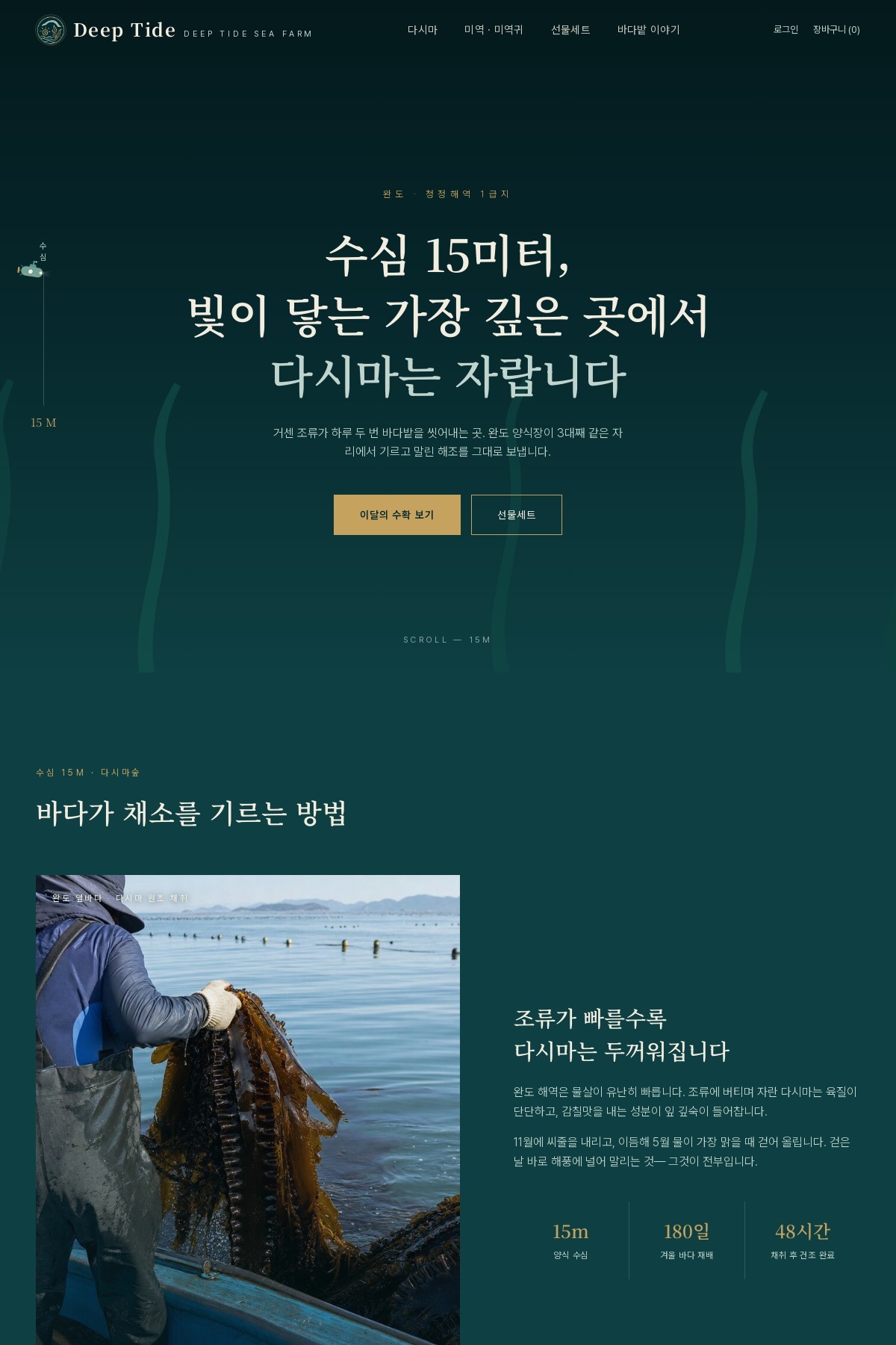 Deep Tide homepage visual